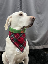 Load image into Gallery viewer, Gamma Bandana