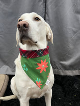 Load image into Gallery viewer, Gamma Bandana