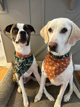 Load image into Gallery viewer, Autumn Bandana
