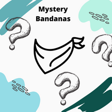 Load image into Gallery viewer, Mystery Bandana