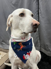 Load image into Gallery viewer, NEW! Candy Cane Lane Bandana
