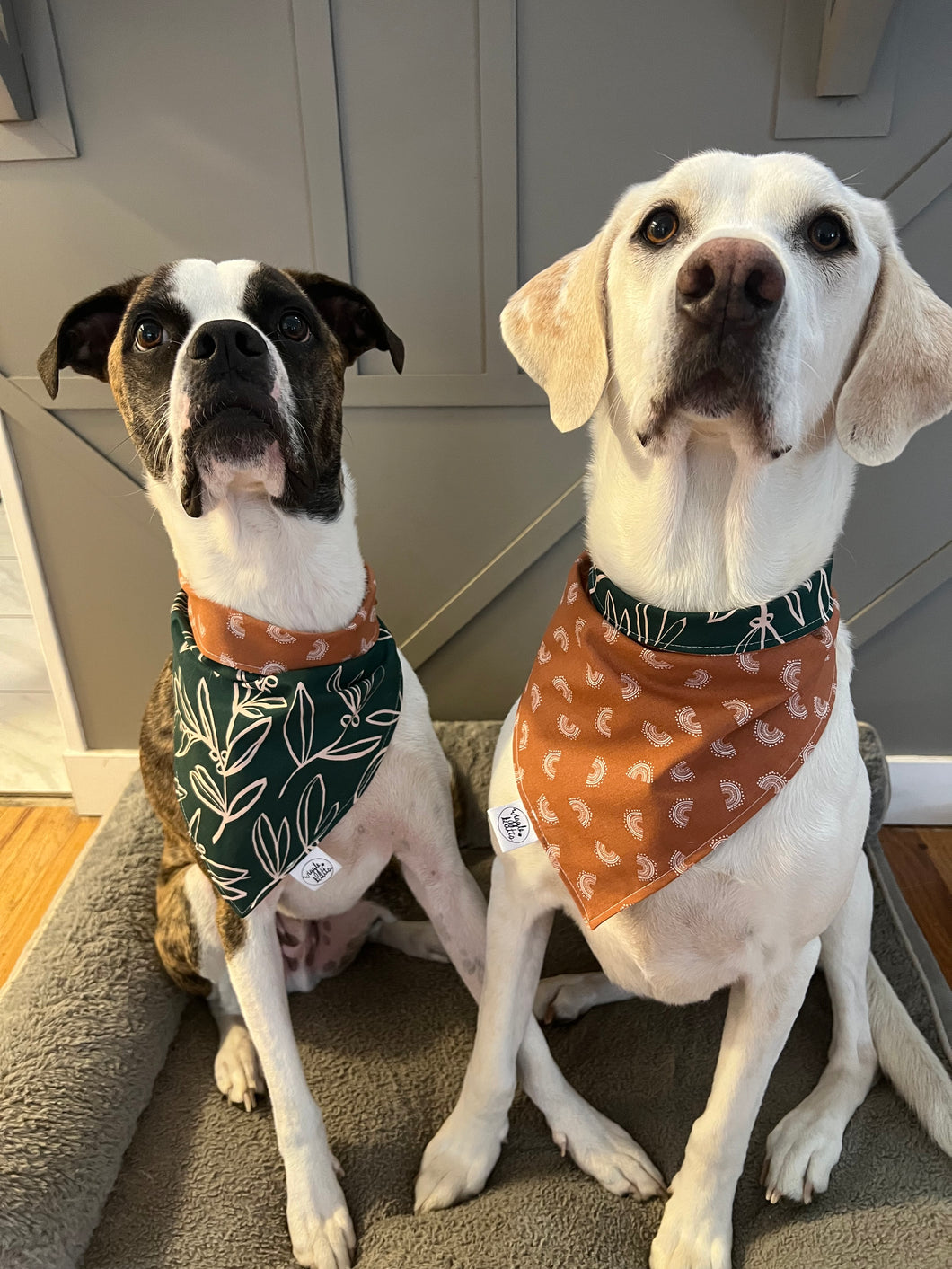 Autumn Bandana