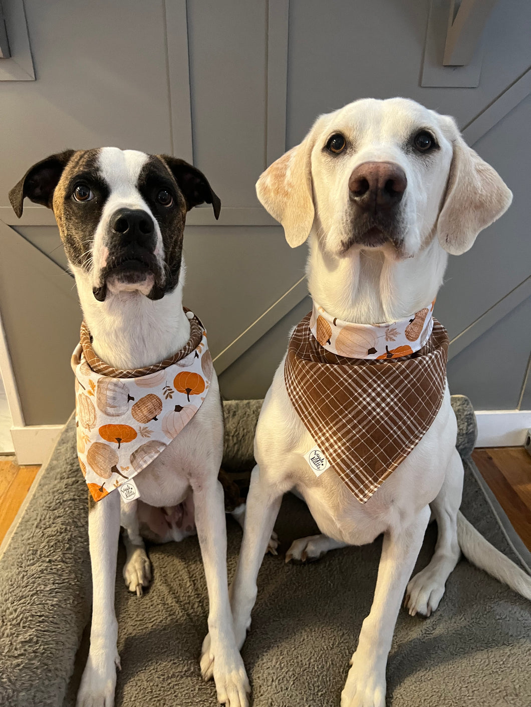 Harvest Bandana