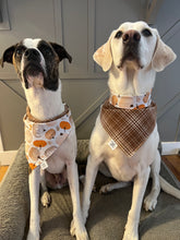 Load image into Gallery viewer, Harvest Bandana
