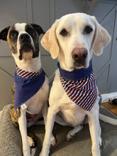 Load image into Gallery viewer, Colorado Bandana

