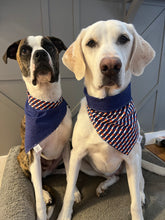 Load image into Gallery viewer, Colorado Bandana
