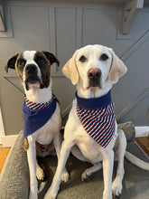 Load image into Gallery viewer, Colorado Bandana
